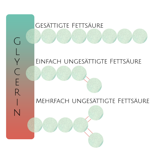 Triglycerid