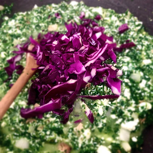 Spinatlasagne Rotkohl dazu