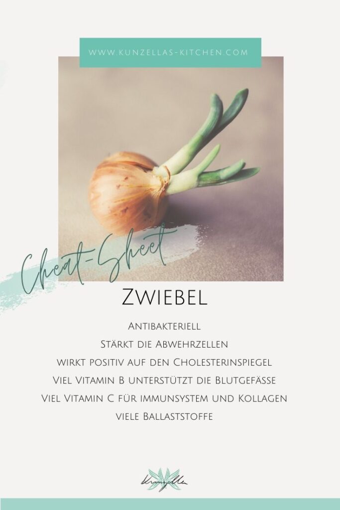 Warenkunde Spickzettel Zwiebel