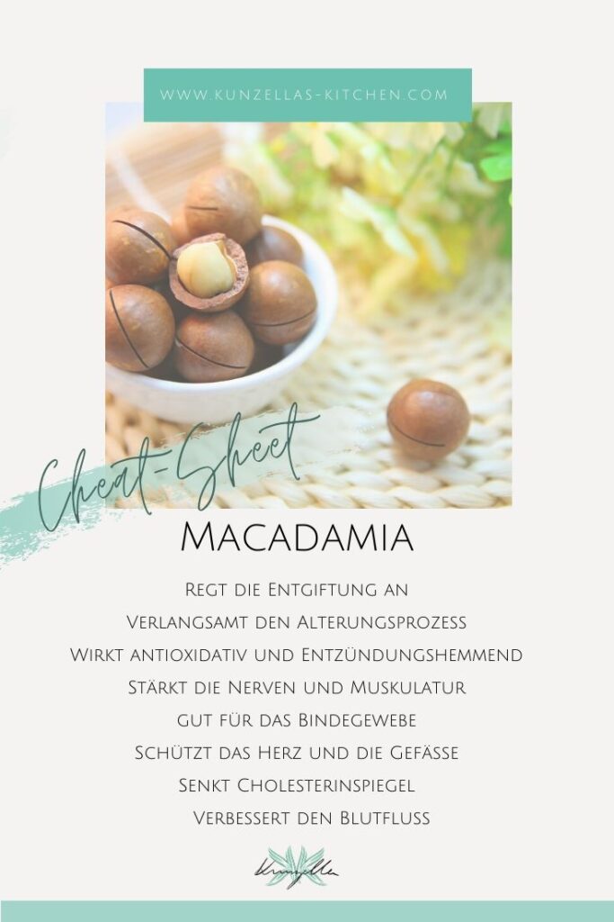 Warenkunde Spickzettel Macadamia