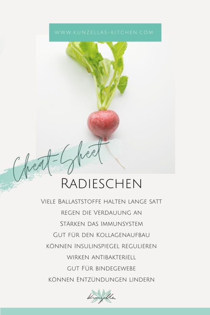 Warenkunde Spickzettel Radieschen