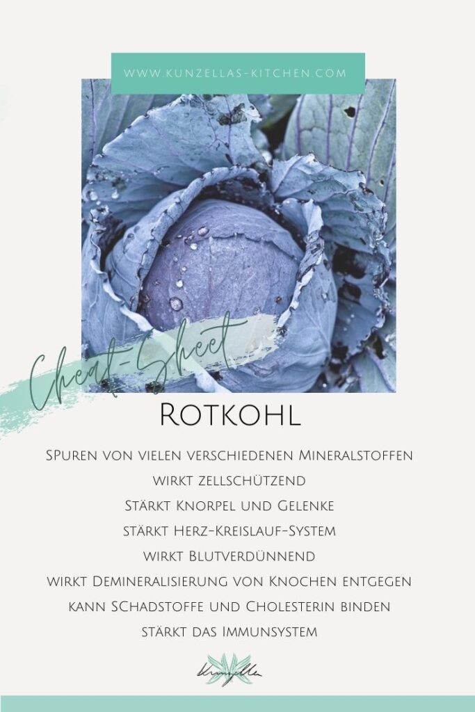 Warenkunde Spickzettel Rotkohl