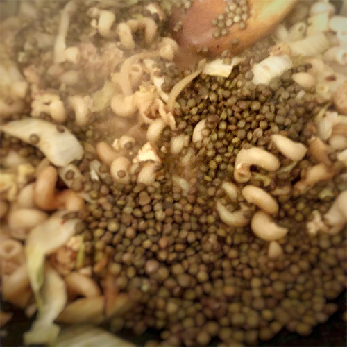 Rezept Grüne Linsen Pasta - Pasta und Linsen