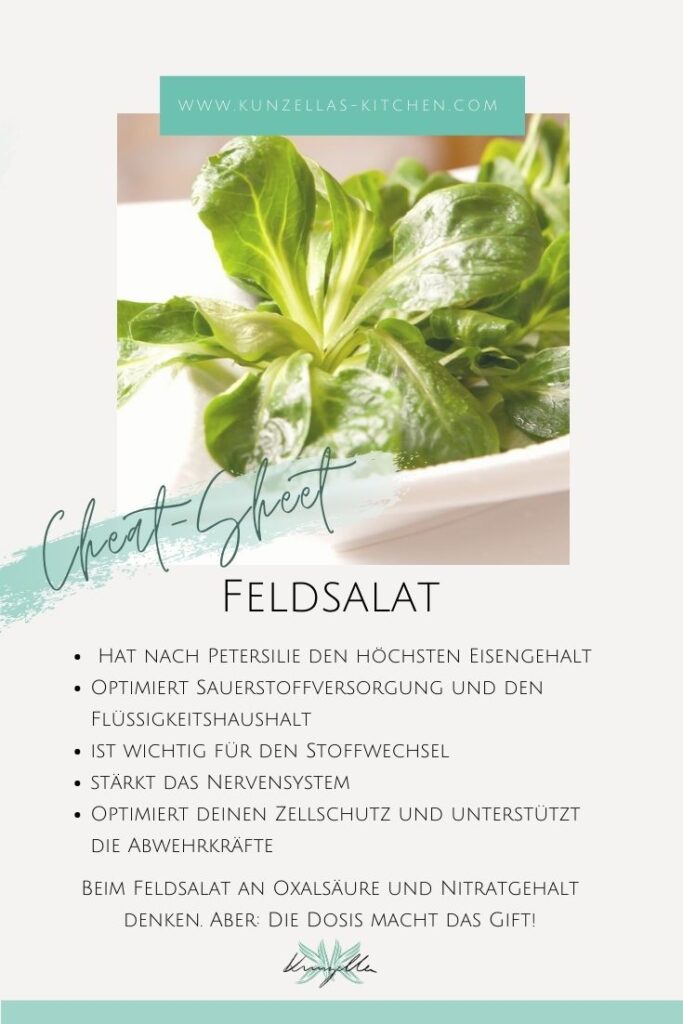 Warenkunde Feldsalat Spickzettel