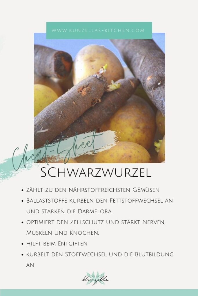 Warenkunde Spickzettel Schwarzwurzel
