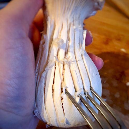 Veganes Hühnerfrikassee: Kräuterseitling